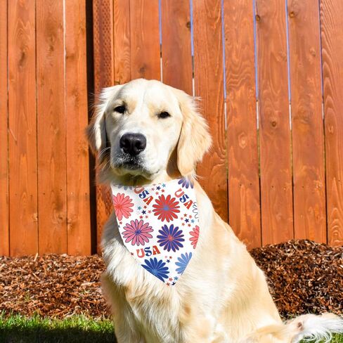 4th of July Dog Bandanas 2 Pack, Triangle Reversible Pet Patriotic Scarf for Boy and Girl, Stars USA Pet Scarves for Independence Day Neckerchief Bulk, Adjustable Fits (4th of July, Small) in Saudi Arabia