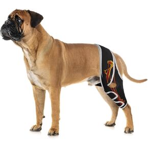 Dog Knee Brace for Back Leg, Luxating Patella Brace for Extra Small Dogs with Reflective Material, Dog Leg Brace Front with 6 Metal Strips, Provide Strong Support, Relieve Pain, Promote Recovery XS