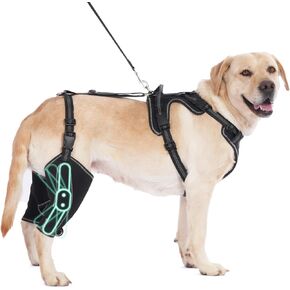 Dog Hip Brace Support for Knee Brace with Traction Rope, 4 Limb Wear Adjustable Design Keep Joints Warm and Stable and Lick Prevention XL Size for Extra Large Dogs