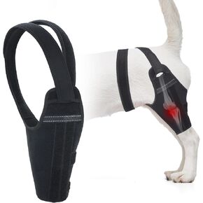 Dog Knee Brace for Back Leg Fit Large to Small Dogs Strong Support Adjustable Dog Leg Braces with 2 Metal Strips for Hip Dysplasia, ACL, CCL, Ligament Injuries & Osteoarthritis (Left Leg, XL)