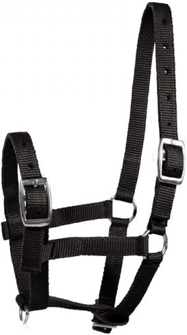 HORZE Adjustable Horse Halter for Foals, Colts, Fillies, Miniature Horses in Kuwait