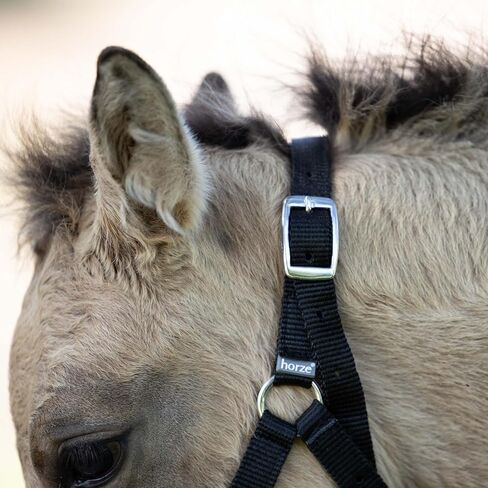 HORZE Adjustable Horse Halter for Foals, Colts, Fillies, Miniature Horses in Kuwait