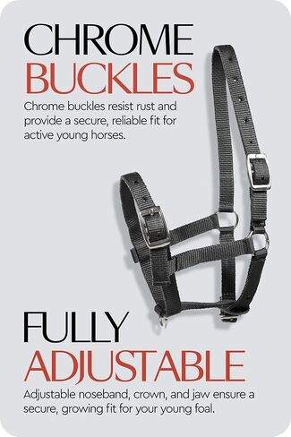 HORZE Adjustable Horse Halter for Foals, Colts, Fillies, Miniature Horses in Kuwait