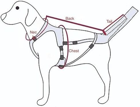K9 TailSaver® Dog Tail Protector,USA Owned,Protects Injuries and Wounds,Recovery Guard,Adjustable (57-90lb,Tails 10.5-18.5" Large) in Saudi Arabia