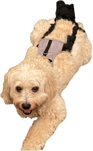 K9 TailSaver® Dog Tail Protector,USA Owned,Protects Injuries and Wounds,Recovery Guard,Adjustable (57-90lb,Tails 10.5-18.5" Large) in Saudi Arabia