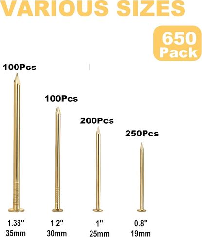 Gold Picture Hanging Nails Kit 650 Pcs - 4 Sizes Premium Galvanized Steel Wall Nails with Storage Box for Frames, Photos, Artworks in Saudi Arabia