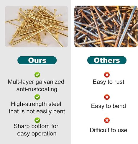Gold Picture Hanging Nails Kit 650 Pcs - 4 Sizes Premium Galvanized Steel Wall Nails with Storage Box for Frames, Photos, Artworks in Saudi Arabia