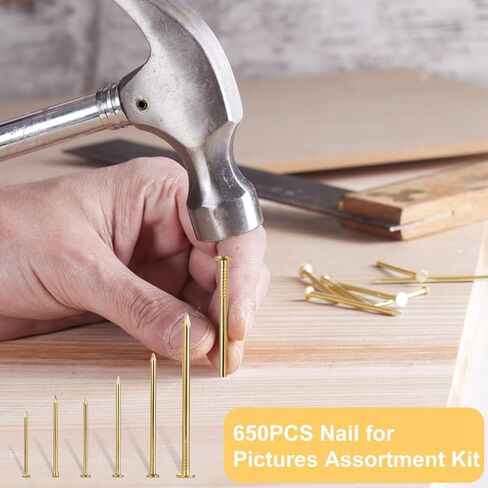 Gold Picture Hanging Nails Kit 650 Pcs - 4 Sizes Premium Galvanized Steel Wall Nails with Storage Box for Frames, Photos, Artworks in Saudi Arabia