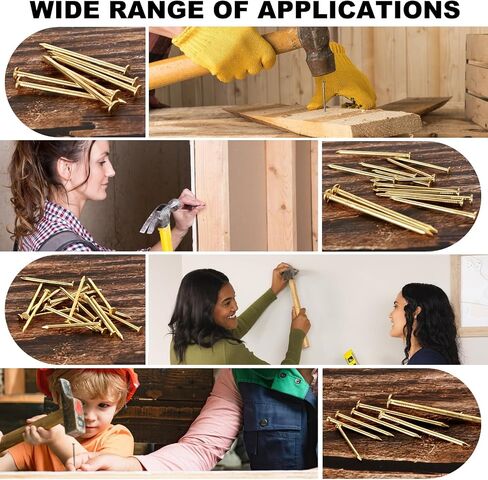 Gold Picture Hanging Nails Kit 650 Pcs - 4 Sizes Premium Galvanized Steel Wall Nails with Storage Box for Frames, Photos, Artworks in Saudi Arabia