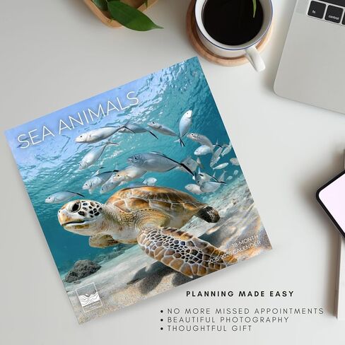 July 2025- December 2026 Sea Animals Wall Calendar 18 Month | 12" x 24" Open | Giftable Nature Calendar 2026 | Thick & Sturdy Paper for Organizing & Planning | Pacific Waters Press (Sea Animals) in Kuwait