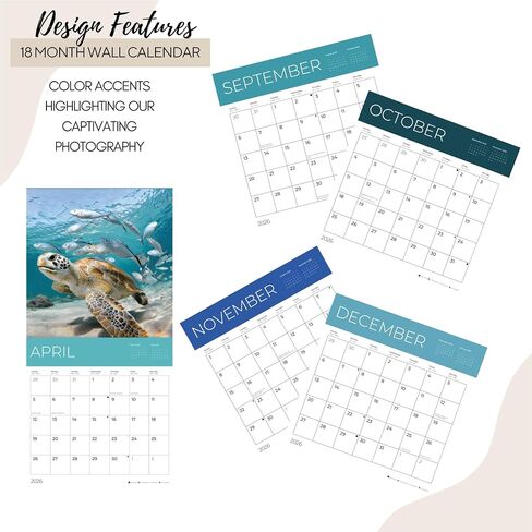 July 2025- December 2026 Sea Animals Wall Calendar 18 Month | 12" x 24" Open | Giftable Nature Calendar 2026 | Thick & Sturdy Paper for Organizing & Planning | Pacific Waters Press (Sea Animals) in Kuwait