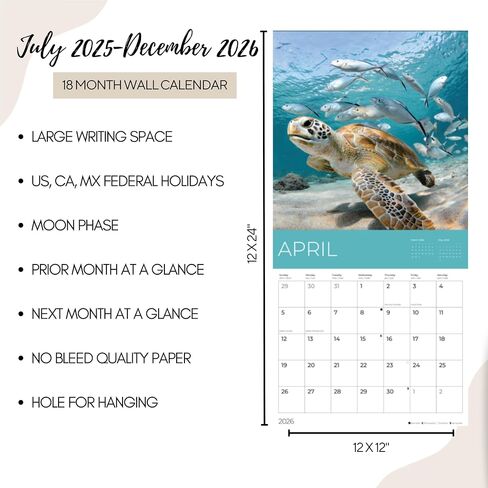 July 2025- December 2026 Sea Animals Wall Calendar 18 Month | 12" x 24" Open | Giftable Nature Calendar 2026 | Thick & Sturdy Paper for Organizing & Planning | Pacific Waters Press (Sea Animals) in Kuwait