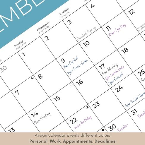 July 2025- December 2026 Sea Animals Wall Calendar 18 Month | 12" x 24" Open | Giftable Nature Calendar 2026 | Thick & Sturdy Paper for Organizing & Planning | Pacific Waters Press (Sea Animals) in Kuwait