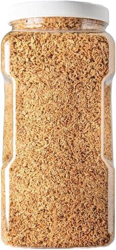 Aquatic Foods Inc. Plankton & Mysis Shrimp -Freeze Dried Floating Small Plankton/Mysis for Marines, Corals, Anemones, Koi & Pond Fish, Cichlids, All Tropical Fish…2oz Small Jar in Saudi Arabia