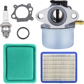 799868 Carburetor Fitment for BS 694202 693909 692648 499617 498170 497586 498254 497314 497347 497410