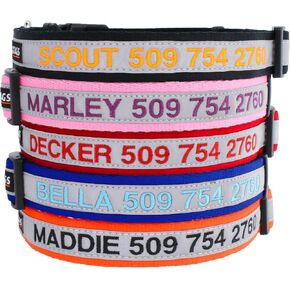 GoTags Personalized Reflective Dog Collar, Pet Name and Phone Number Custom Embroidery, in 11 Colors for Boy and Girl Dogs, Adjustable Sizes Small Medium and Large