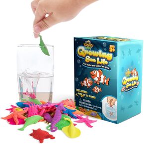 IPIDIPI TOYS Water Growing Sea Creatures for Kids – Ocean-Themed Animals, Goodie Bag Fillers, School Surprise, Party Favors, Piñata Stuffers, Science Experiment – Assorted Colors, Pack of 67
