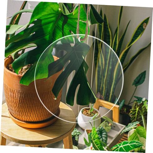 ARTIBETTER 20pcs Acrylic Round Circles for DIY Projects Acrylic Discs for Crafting Painting and Decoration Thickness in Saudi Arabia