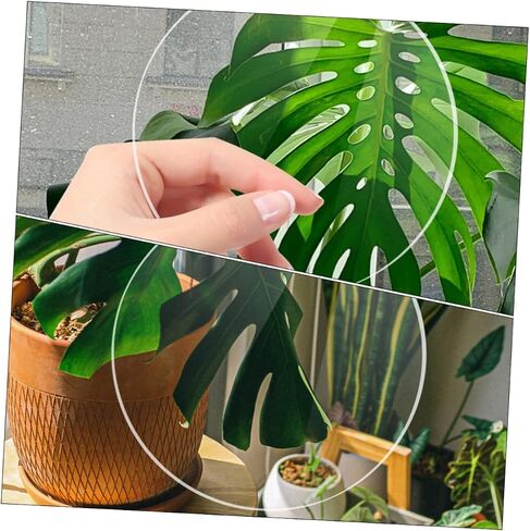 ARTIBETTER 20pcs Acrylic Round Circles for DIY Projects Acrylic Discs for Crafting Painting and Decoration Thickness in Saudi Arabia