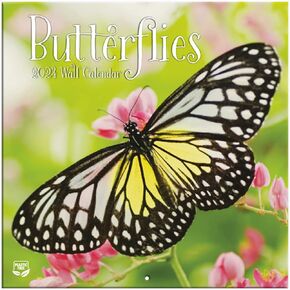 Turner Photographic Butterflies Photo Mini Wall Calendar (24998950054)