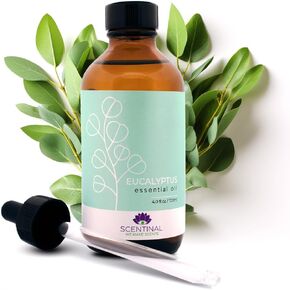 زيت سينتينال العطري الفاخر - نقي 100%، طبيعي وأصلي - زجاجة كبيرة جدًا سعة 4 أونصة (120 مل) مع قطارة - تجربة علاجية عطرية منعشة (النعناع، ​​4 أونصة / 120 مل)