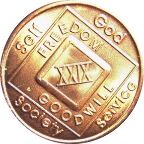 29 Year NA Medallion Official Bronze Narcotics Anonymous Chip