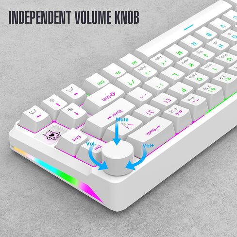 Compact 65-Key Mechanical Gaming Keyboard - 60% Mini Size, Red Switch, LED Backlit with Adjustable Knob, Portable Wired Keyboard for PC, Mac, and Windows Laptops in Saudi Arabia