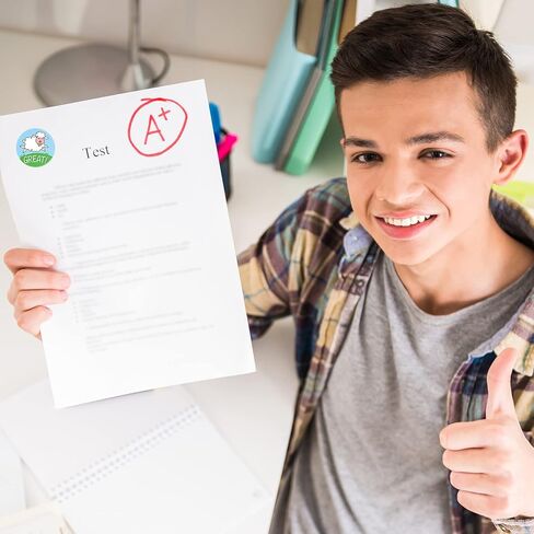 500 قطعة من ملصقات حوافز عيد الفصح للأطفال، ملصقات مكافأة للمعلم مقاس 1 بوصة في 8 تصميمات، لفافة ملصقات ملهمة للوازم المدرسية، ملصقات تحفيزية للتدريب على استخدام المرحاض للمنزل في الفصل الدراسي in Kuwait