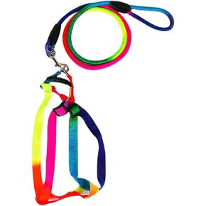 Pet Harness Round Rainbow Color Cat Leash Dog Chain(L)