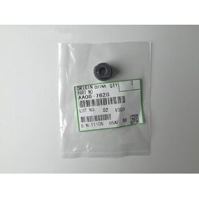 Printer Accessories Compatible with 10PCS AA08-7628 Developer Unit Bushing Compatible with Ricoh 1015 1018 2015 2018 2020 1113 1115 220 270 MP1600 MP2000 MP2500