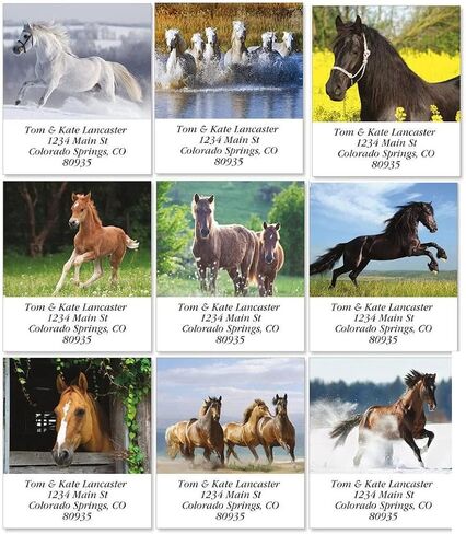 for Horse Lovers Personalized Return Address Labels - Set of 144, Large Self-Adhesive, Flat-Sheet Labels, by Colorful Images in Saudi Arabia