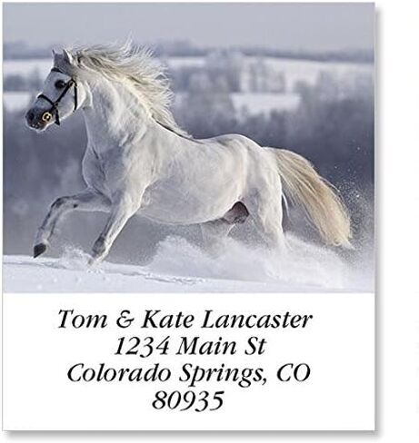 for Horse Lovers Personalized Return Address Labels - Set of 144, Large Self-Adhesive, Flat-Sheet Labels, by Colorful Images in Saudi Arabia