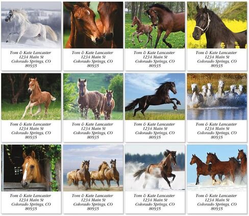 for Horse Lovers Personalized Return Address Labels - Set of 144, Large Self-Adhesive, Flat-Sheet Labels, by Colorful Images in Saudi Arabia