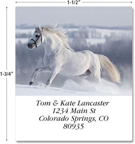 for Horse Lovers Personalized Return Address Labels - Set of 144, Large Self-Adhesive, Flat-Sheet Labels, by Colorful Images in Saudi Arabia