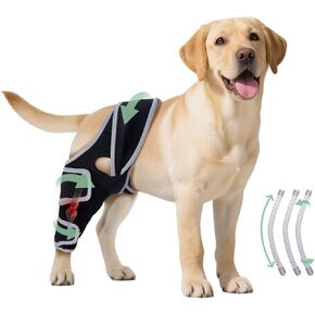Dog Knee Brace for Torn ACL Hind Leg, Adjustable Four-Legged Universal Dog Knee Brace for Arthritis, Patellar Luxation, Hip Dysplasia, Relieve Joint Pain and Ligament Damage,L