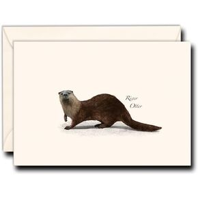 سماء الأرض + المياه - مجموعة نهر Otter Notecard - 8 بطاقات فارغة مع الأظرف