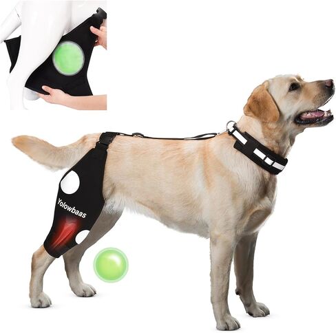 Dog Knee Brace for Torn ACL Hind Leg Support with Hot/Cold Compress, Adjustable Dog Hip Brace for ACL Tear Back Leg, CCL, Luxating Patella, Hip Dysplasia, Support for Knee Caps(Right Leg,XL) in Saudi Arabia