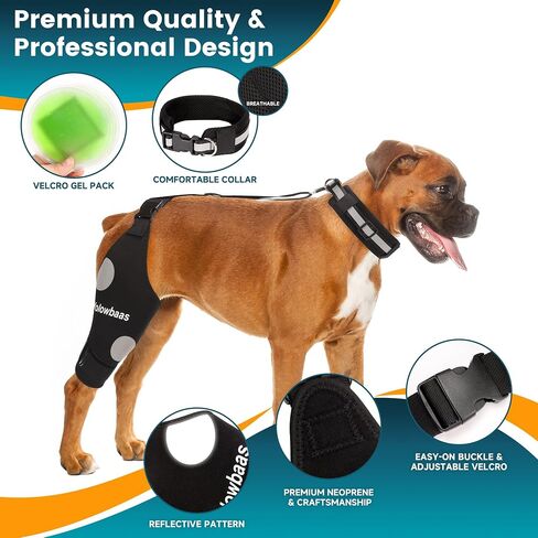 Dog Knee Brace for Torn ACL Hind Leg Support with Hot/Cold Compress, Adjustable Dog Hip Brace for ACL Tear Back Leg, CCL, Luxating Patella, Hip Dysplasia, Support for Knee Caps(Right Leg,XL) in Saudi Arabia