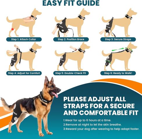 Dog Knee Brace for Torn ACL Hind Leg Support with Hot/Cold Compress, Adjustable Dog Hip Brace for ACL Tear Back Leg, CCL, Luxating Patella, Hip Dysplasia, Support for Knee Caps(Right Leg,XL) in Saudi Arabia