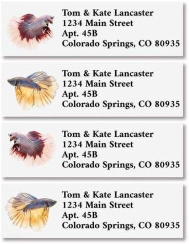 Colorful Images Gone Fishing Classic Personalized Return Address Labels - Set of 240, Self-Adhesive Stickers, 5/8" x 2" in Saudi Arabia
