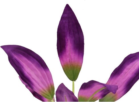 Silk Aquarium Plants for Betta Fish Tank, 2 Pcs 8 Inch Small Silk Aquarium Plant Aquatic Water Grass Decoration, Purple in Kuwait