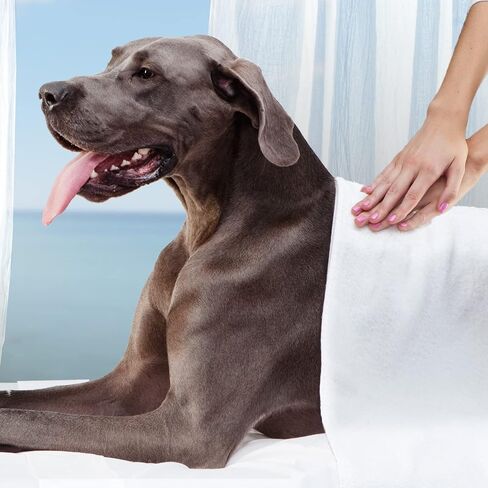 Fromm Large Breed Weight Management Gold Dry Dog Food - Weight Management Dog Food for Large & Giant Breeds - Turkey Recipe - 30 lb in Saudi Arabia