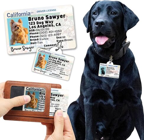 رخصة قيادة Pawfurever للكلاب - علامات ترخيص الكلب مخصصة للحيوانات الأليفة - علامة ترخيص الكلب المخصصة - علامات معرف القط (كاليفورنيا ، بطاقة وبطاقة محفظة) in Kuwait
