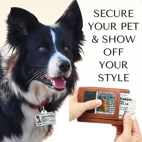 رخصة قيادة Pawfurever للكلاب - علامات ترخيص الكلب مخصصة للحيوانات الأليفة - علامة ترخيص الكلب المخصصة - علامات معرف القط (كاليفورنيا ، بطاقة وبطاقة محفظة) in Kuwait
