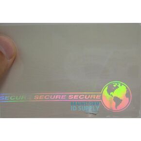 Web & Earth Hologram Overlay - Credit Card Size Teslin/PVC ID Card Hologram Overlays - 50 Pack