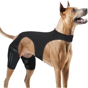 Dog Knee Brace for Torn ACL Hind Leg, Dog Leg Brace for Back Leg Fit Large to Small Dogs for Luxating Patella, Hip Dysplasia, CCL, Ligament Injuries (Small)