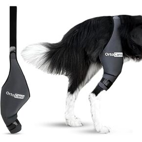 Ortocanis - Dog Knee Brace - For Right Hind Leg - Made of ARD Neoprene - For ACL Tear, Ligament Injuries, Patellar Luxation or Osteoarthritis - Size Small (9,5 - 11")