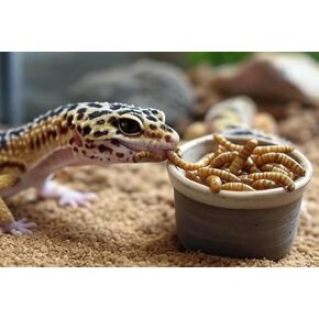 250 Count High Protein Live Mealworms for Reptiles, Amphibians and Birds