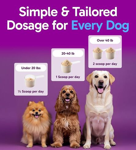 K9 Slim Dog Weight Loss Supplement, Natural Weight Management Dog Food Topper for Less Cravings, More Fat Burning and Energy, 2.14 oz Bag in Saudi Arabia