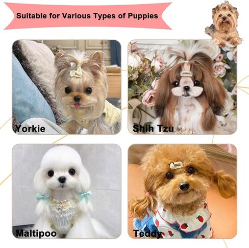 Cloud-Shaped Soft Bristle Puppy Brush for Small Dogs - Yorkie, Shih Tzu, Maltese, and Toy Poodles Grooming Tool with Detachable Lint Comb and Gift Box （Pink） in Saudi Arabia